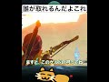 一見入手不可能に見える宝箱をとんでもない方法でゲットする #ゲーム #ゼルダの伝説ブレスオブザワイルド #zelda #ショート #shorts @Nenechinyan