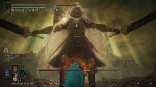Best Shield Poke build Consort Radahn DLC+ NG+7 Level 713 Overpowered