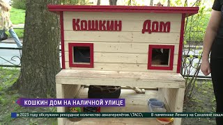 Кошкин дом на Васильевском острове