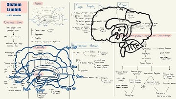 Flipchart FM 3 Kasus 4: Sistem Limbik dan Kontrol Motorik (NBS) LINK DOWNLOAD FC DI DESKRIPSI!