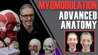 ADVANCED ANATOMY ESSENTIALS: Myomodulation, vectors, biomechanics explained [Aesthetic Mastery Show]