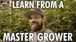 Cannabis Grow Op Tour - Learn from a Master Grower