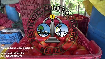 How to triple rinse an empty pesticide container