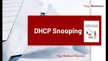 28_ببساطة مع مهندسة شاهيناز...Spoofing Attack...منع وجود سيرفر غير مرغوب فيه