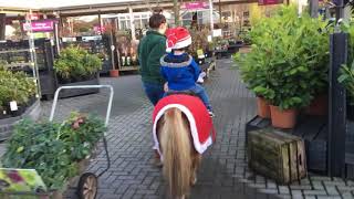 Zach riding the Donkey Christmas 2019 ( 1 of 2 )