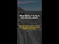 What REALLY lives in the Arizona desert | Skinwalker Ranch #Shorts