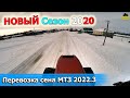 НОВЫЙ СЕЗОН 2020. Возим сено пайщикам МТЗ 2022.3