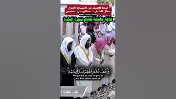 ختام سورة البقرة | تلاوة خاشعة جميلة لمعالي الشيخ د. عبدالرحمن السديس ويظهر خلفه أئمة المسجد النبوي