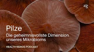 Pilze: Die geheimnisvollste Dimension unseres Mikrobioms (Deep Dive) - HEALTH NERDS