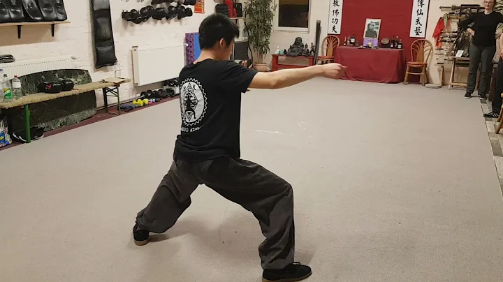 洪家 梅花拳 Hung Gar Mui Fah Kuen