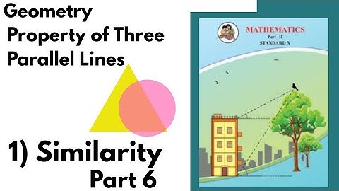 Property of Three Parallel Lines | Similarity chapter | Part 6 | Geometry | 10th Std