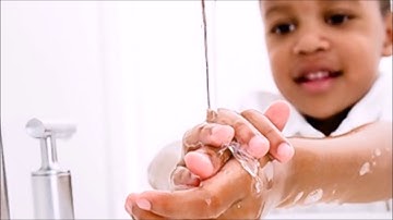 NAEYC program standards..