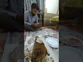 Mutton 😍