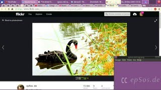وقف علامات التبويب في متصفح جوجل كروم. screenshot 5