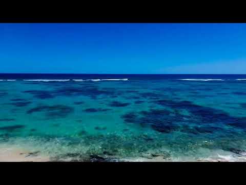 Jacks and Isaacs Bay live cam preview