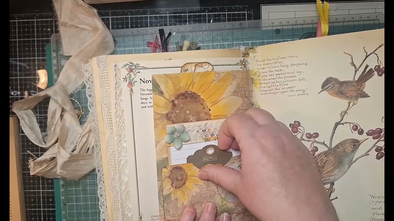 Edith Holden Journal Giveaway. Final flip through with details on how to enter the giveaway.