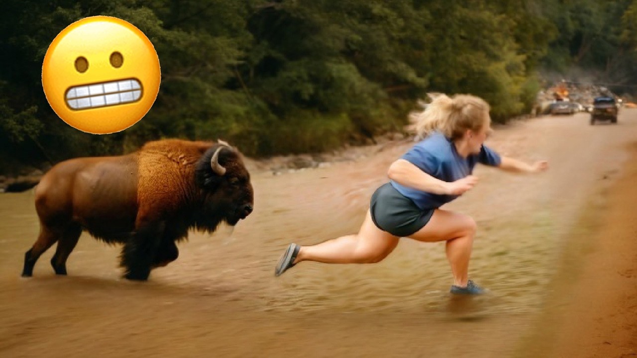 Try Not to Laugh - Funny Moments Compilation 🤣 #21 - YouTube