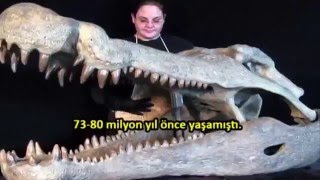 Nesli Tükenmiş En İlginç Ve İri Hayvanlar