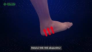 Download Lagu OlyLife Tera-P90 Pengenalan MP3