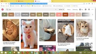 Full How To Auto Post On Pinterest Using Socinator Update