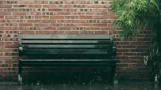Sleep Rain Sounds - Empty Bench in the Rain