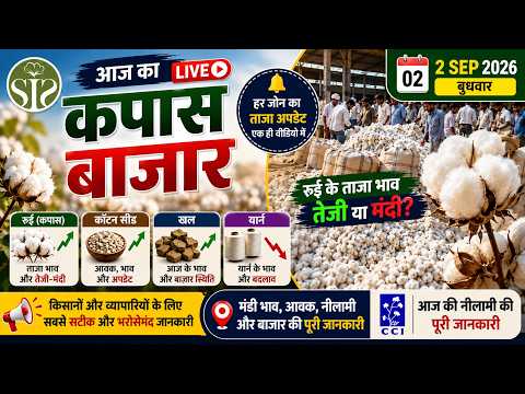 आज का कपास बाजार भाव 🚨 तेजी या मंदी? | Cotton Market Today | 2 सितंबर 2026 #kapas #smartinfo