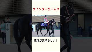 コントレイル産駒でPOGを勝つ!