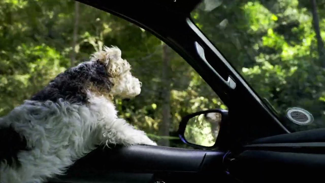 7 Passes Garden Route South Africa