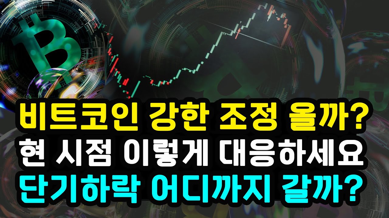 비트코인 판테라캐피탈 무려 13년동안 펀드 유지 12월 금리인하 전망 증가 이스라엘 헤즈볼라 휴전 리플 이더리움 솔라나