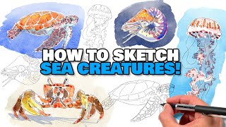 How To Sketch ANYTHING! | Sea Creatures Loose Ink & Watercolor How To Sketch ANYTHING! | Sea Creatures Loose Ink & Watercolor