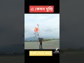 এমন ঘুড়ি কেউ কখনো দেখেছেন কি একটু বলেন না