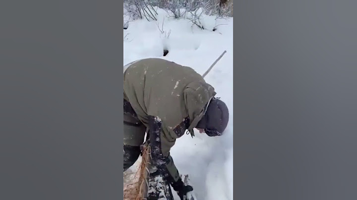 Рыбаки не верят, что так можно ловить рыбу