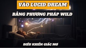 Cách Vào Lucid Dream Chủ Động Chỉ Trong 10 Phút – Phương Pháp WILD Chi Tiết