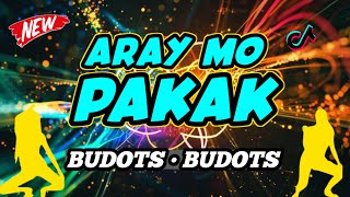 Download Lagu ARAY MO PAKAK - BUDOTS | (Dj Bernard Remix) MP3