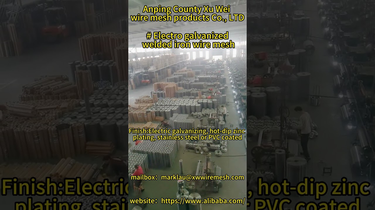 galvanized welded wire mesh