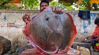 KASIMEDU 🔥 SPEED SELVAM | HUGE RAY FISH CUTTING VIDEO | 4J VIDEO | KM FISH CUTTING