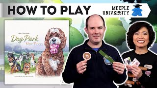 Dog Park: New Tricks🐩 🪀- How to Play Board Game screenshot 4