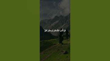 سورة التغابن: القارئ اسلام صبحي
