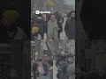 #shorts #torontolife #toronto #torontoevents #torontorealestate #the6ix  #parade #canada #canadalife