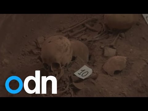 Skeletons found in hidden crypt in Peru