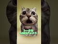唖然猫ミームのスキンをロブロックスで再現!! #roblox #robloxshorts #ロブロックス #ロブロックススキン #fypシ #猫ミーム