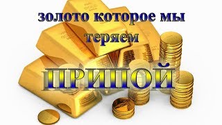 видео: Золото которое мы теряем  ПРИПОЙ картинка: Золото которое мы теряем  ПРИПОЙ