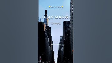 تلاوة قصيرة من #سورة_القلم  #اسلام_صبحي #الله #القرآن_الكريم #اكسبلور