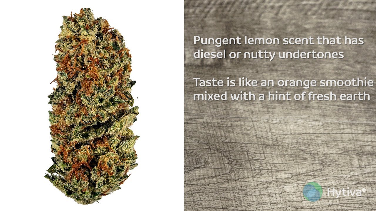 Strain Review: Lemon Meringue