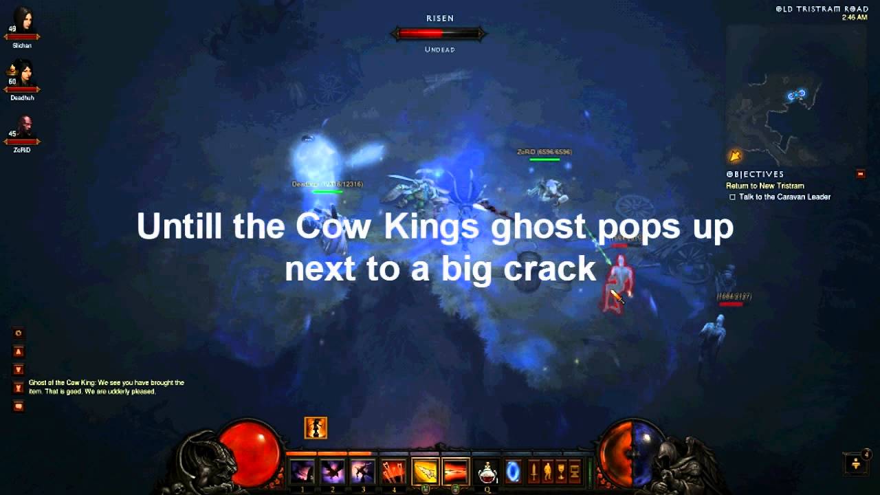 Diablo 3| How to enter the secret level (Whimsyshire/Pony level)