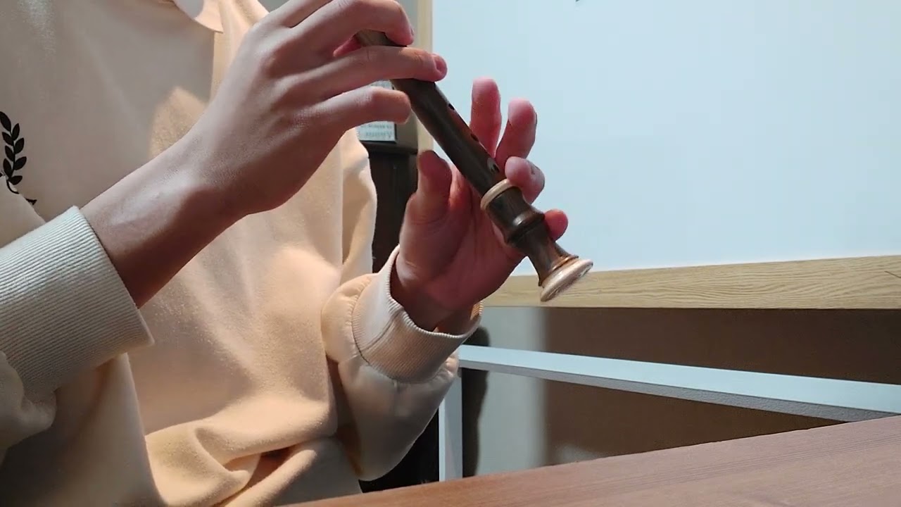 Deco*27 - 모니터링 (Mornitering) feat. Hatsune Miku | recorder cover