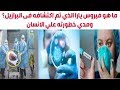 ما هو فيروس يارا الذي تم اكتشافه فى البرازيل ومدي خطورته علي الانسان