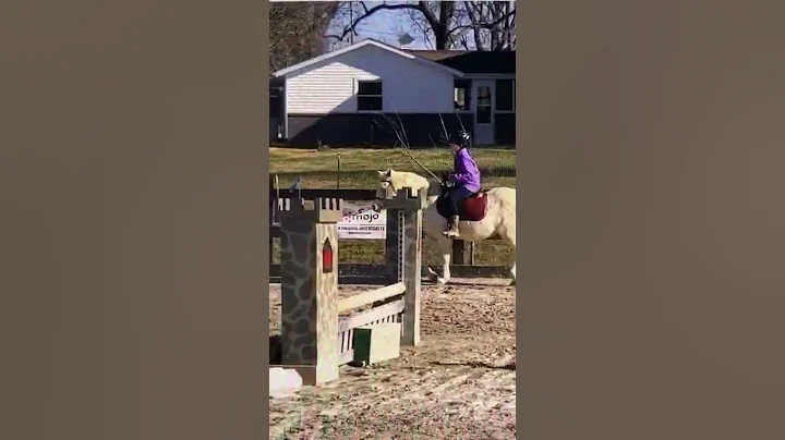 How did I go from this to this (horse edit)