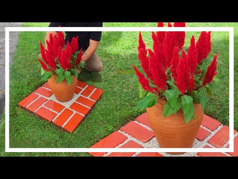 Vídeo: Design de tijolos no jardim: uso de tijolos no jardim