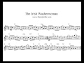 The Irish Washerwomen - play Clarinet